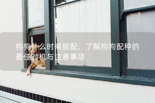 狗狗什么時候能配，了解狗狗配種的最佳時機與注意事項